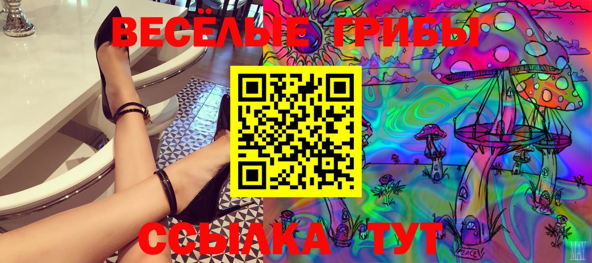 Псилоцибиновые грибы прущие грибы  Вход с VPN  Заречный  Галлюциногенные грибы мицелий 